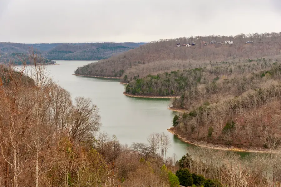 42 Deer Pallth Court, Smithville, TN 37166 - #3