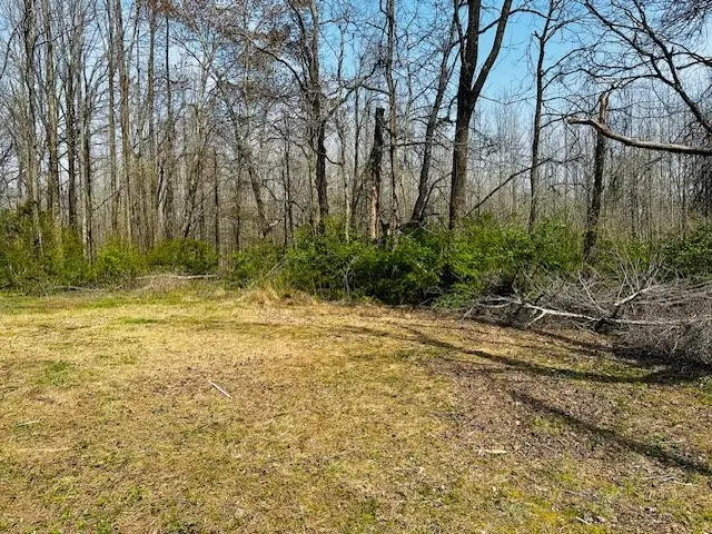 7120 Cobb Cir, Fairview, TN 37062 - #2