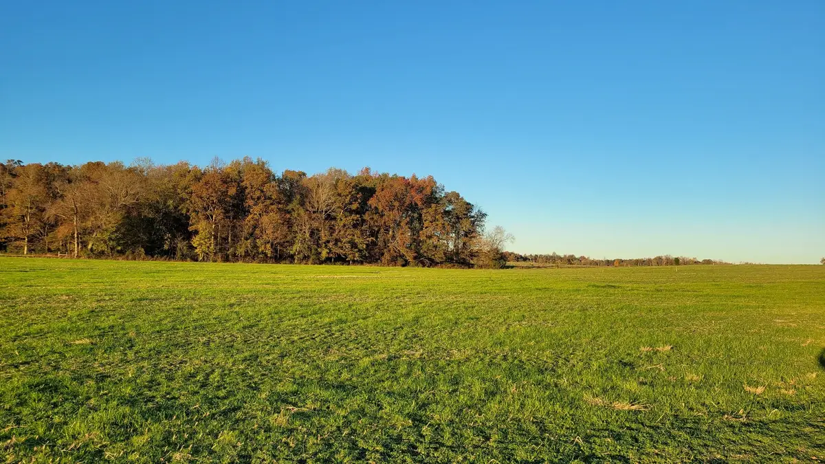 11 Ira Darby Prater Hwy, Woodbury, TN 37190 - #1