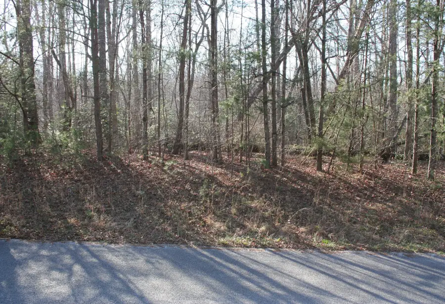 18 Avenue, Gruetli Laager, TN 37339 - #3