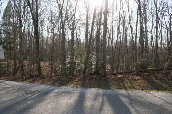 18 Avenue, Gruetli Laager, TN 37339