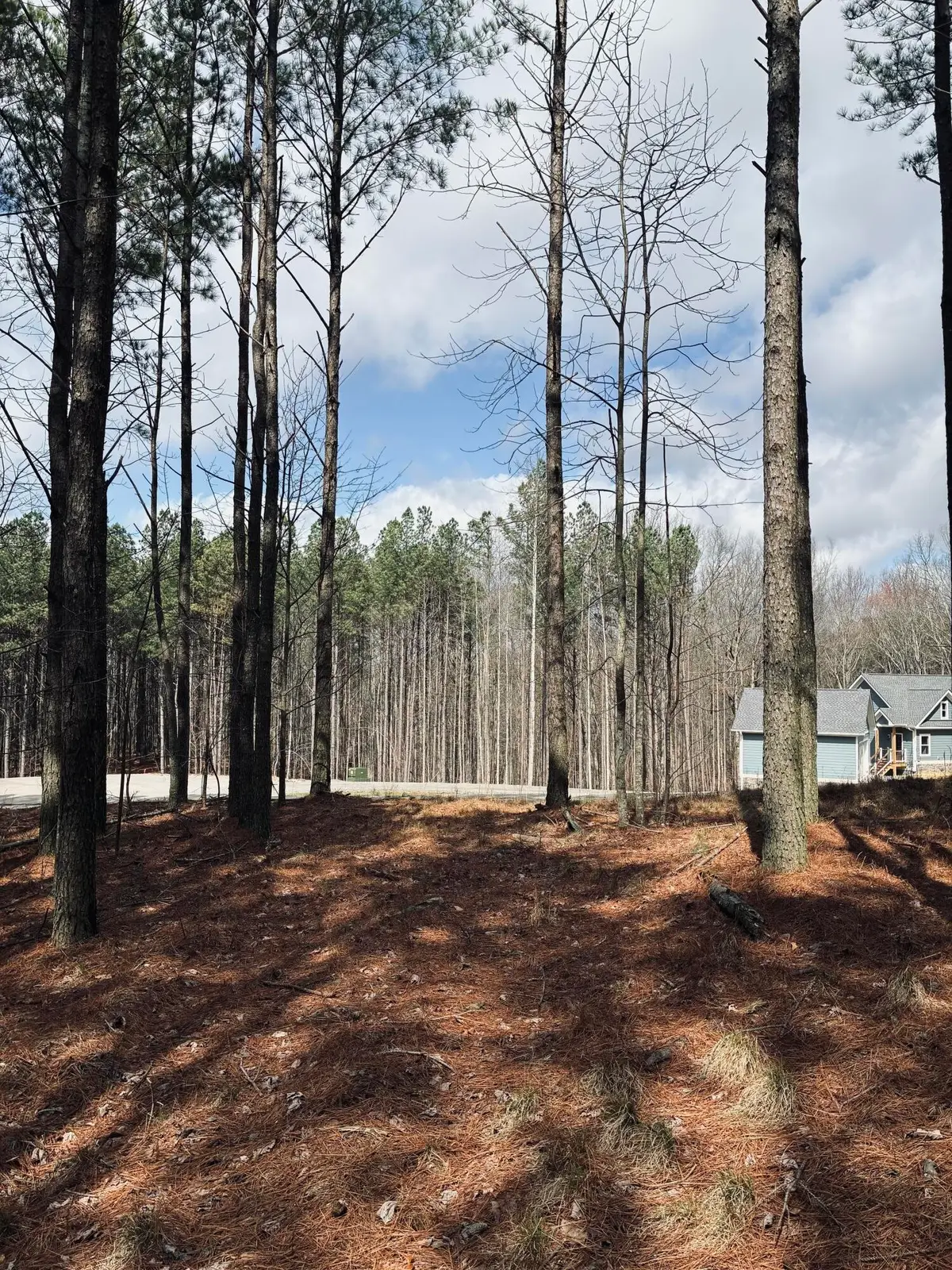 215 Honeybee Court, Jasper, TN 37347 - #1