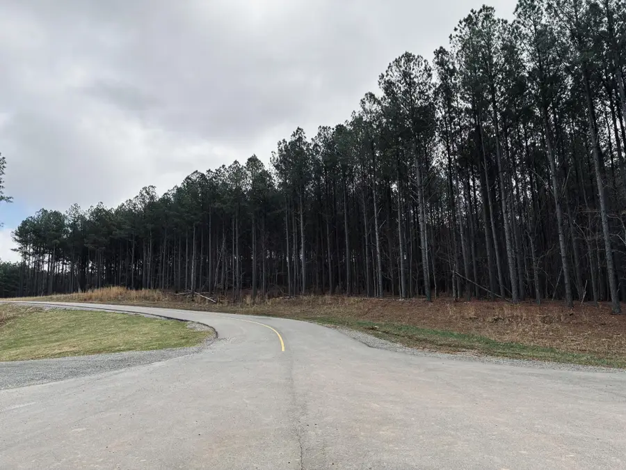 215 Honeybee Court, Jasper, TN 37347 - #3