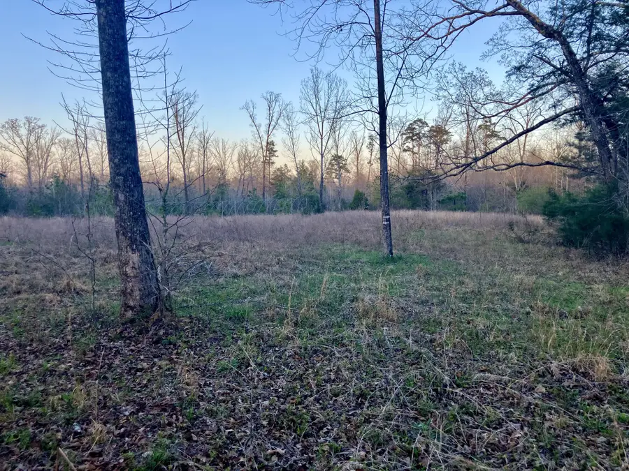 2467 Highway 100 W, Decaturville, TN 38329 - #2