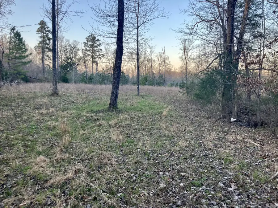 2467 Highway 100 W, Decaturville, TN 38329 - #3