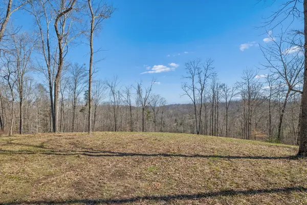 6012 Russell Ridge Lane, Franklin, TN 37064