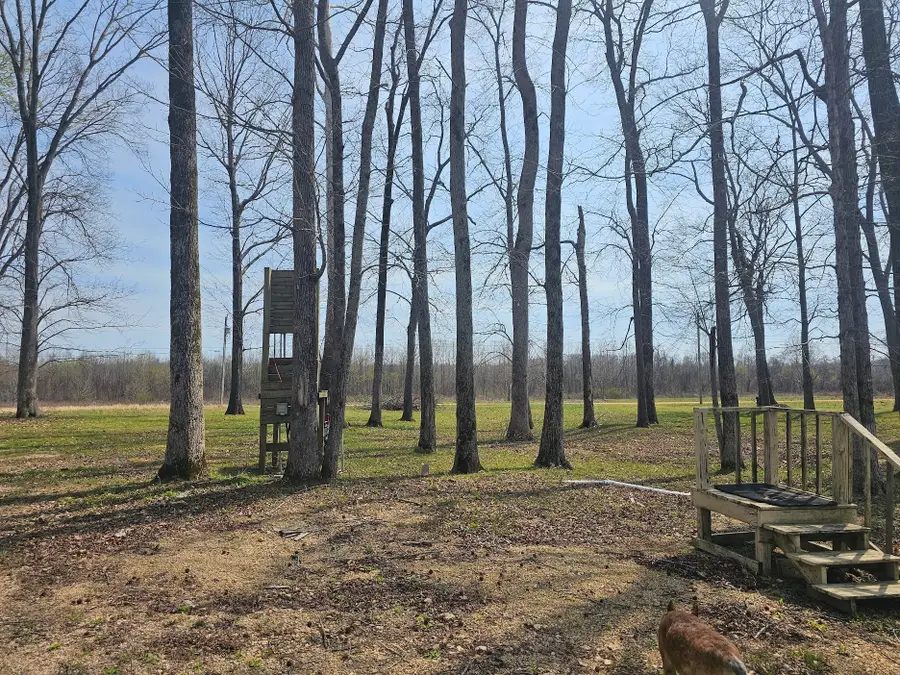 2615 Col James Hardin Dr, Clifton, TN 38425 - #3