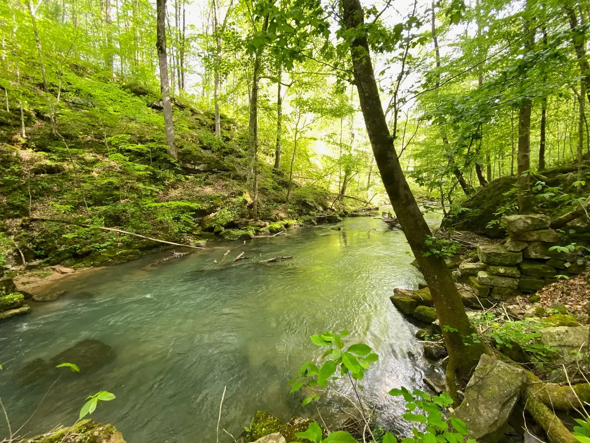 8450 Old Highway 28, Pikeville, TN 37367 - #1