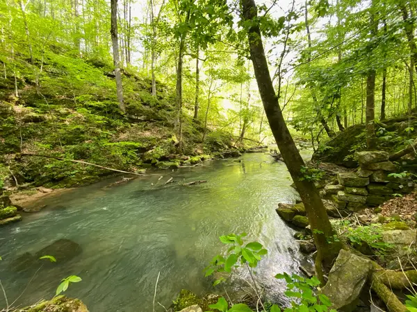 8450 Old Highway 28, Pikeville, TN 37367