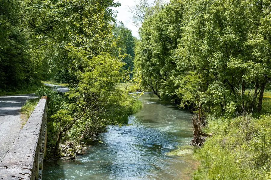 8450 Old Highway 28, Pikeville, TN 37367 - #2