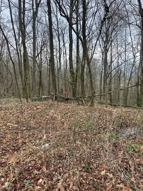 0 Talley Top Trl, Huntland, TN 37345 - #2