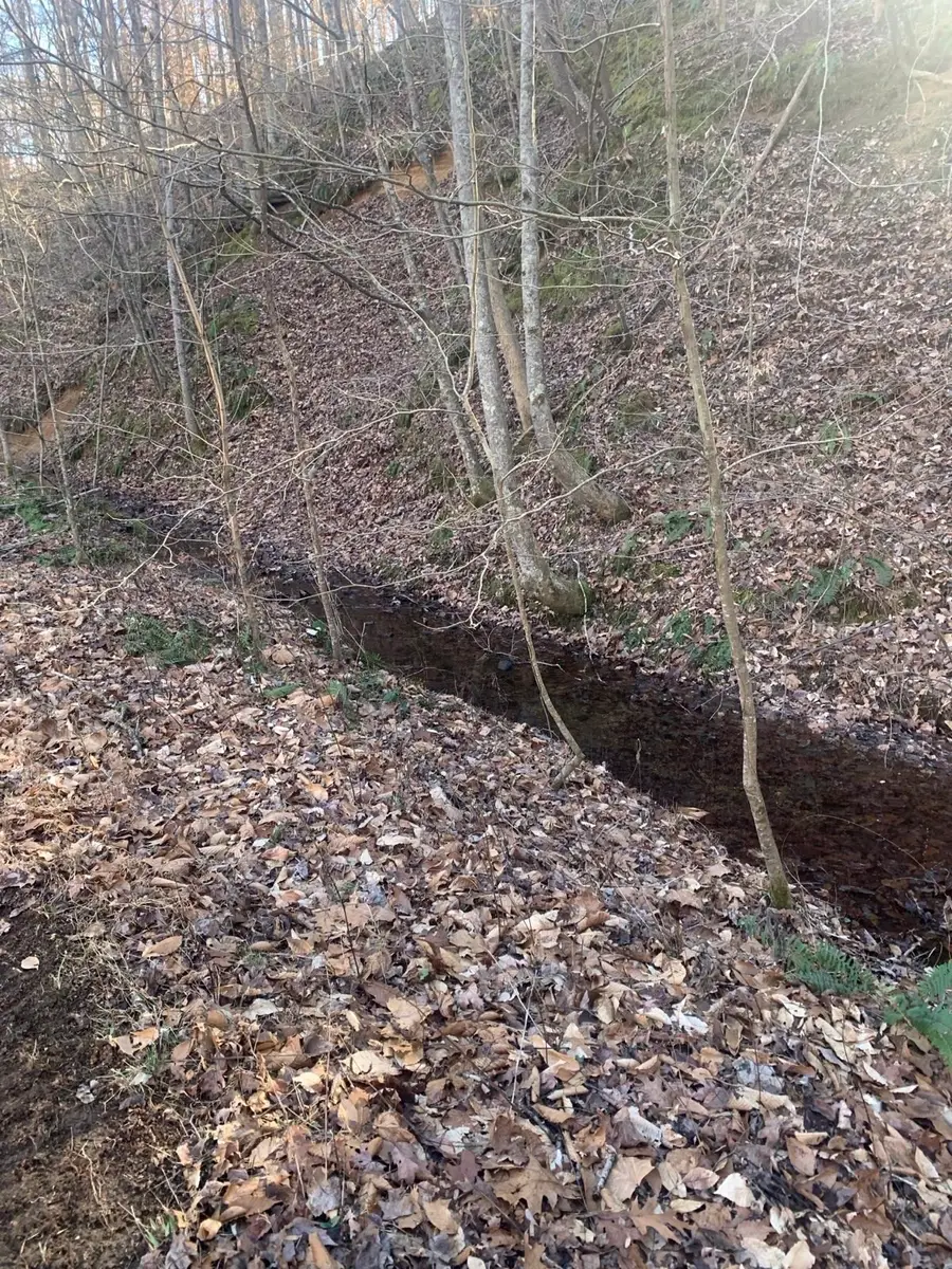 1252 Kelly Rd, Centerville, TN 37033 - #2