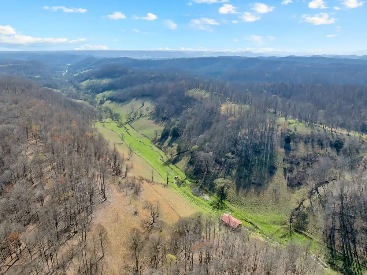 546 Womack Hollow Rd, Liberty, TN 37095 - #1