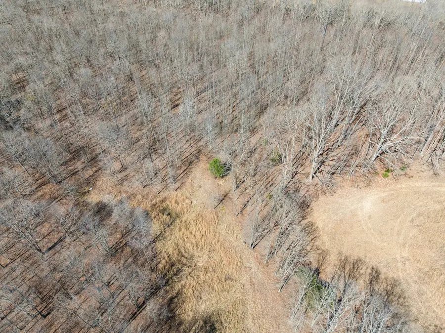 160 Dr Ibrahim Lane, Summertown, TN 38483 - #3