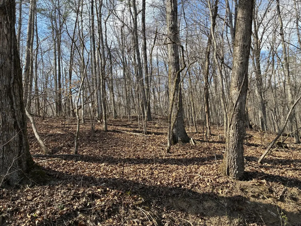 0 Eagle Point Drive Lot 8, Rockwood, TN 37854 - #1