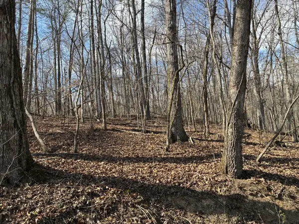 0 Eagle Point Drive Lot 8, Rockwood, TN 37854