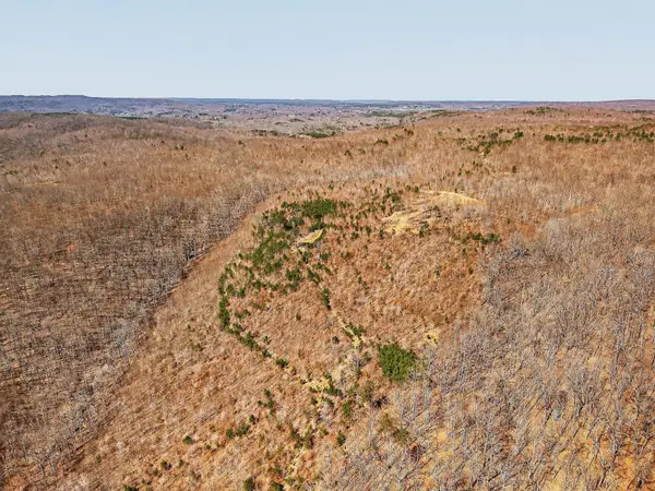 253 Daus Mountain Rd, Palmer, TN 37365