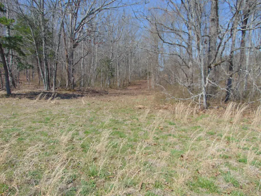 3160 Jimmy Holt Rd, Cypress Inn, TN 38452 - #2