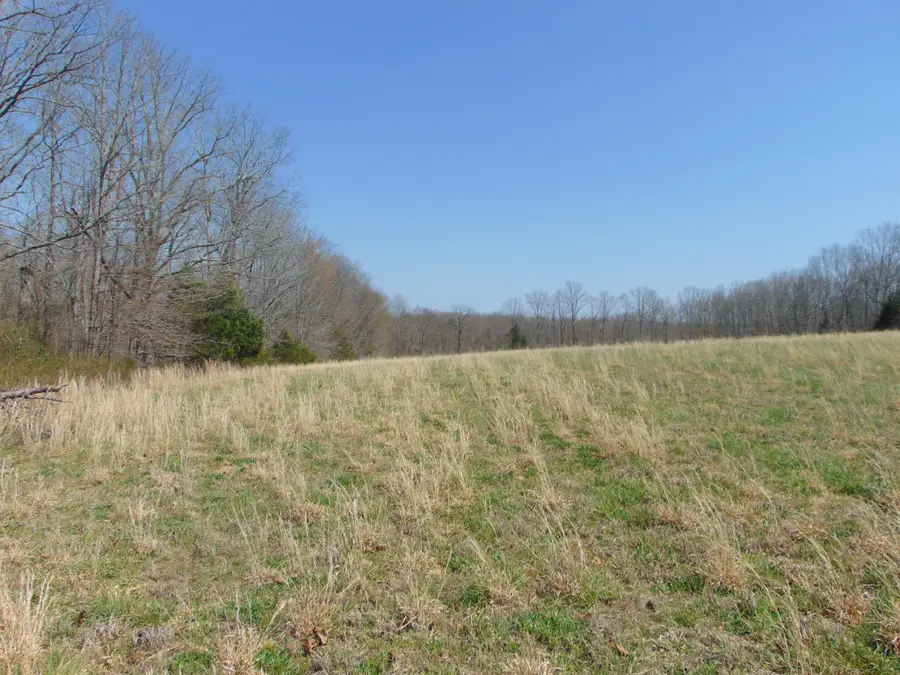 3160 Jimmy Holt Rd, Cypress Inn, TN 38452 - #3