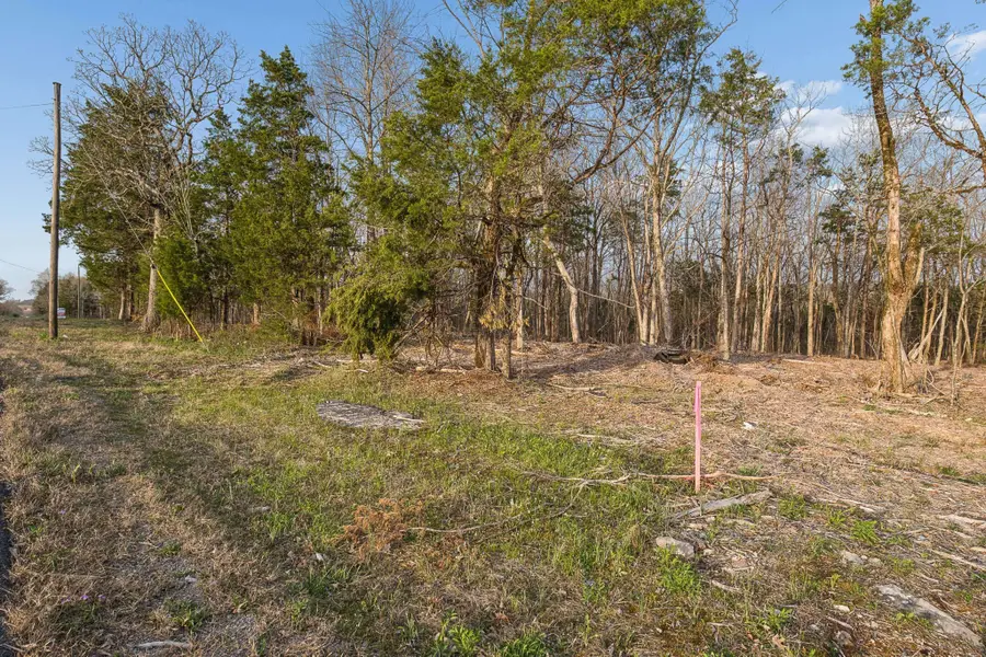 0 Morgan Rd, Rockvale, TN 37153 - #2