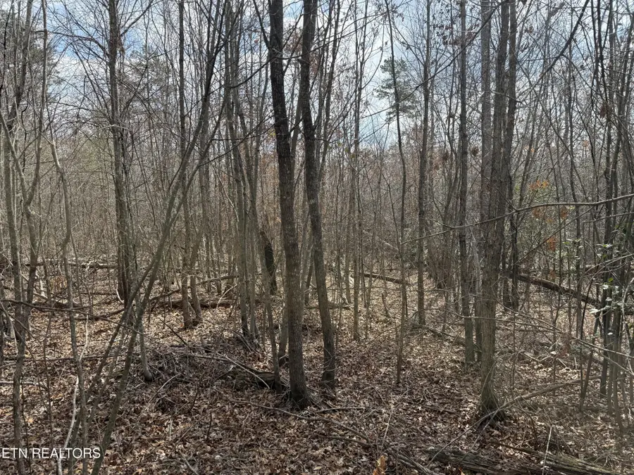 0 Cumberland Lakes Drive, Monterey, TN 38574 - #2