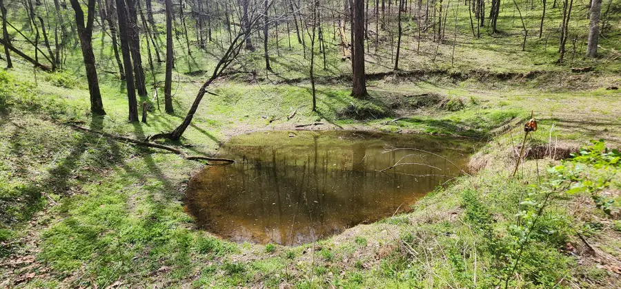 950 Chapman Hollow Rd, Dowelltown, TN 37059 - #3