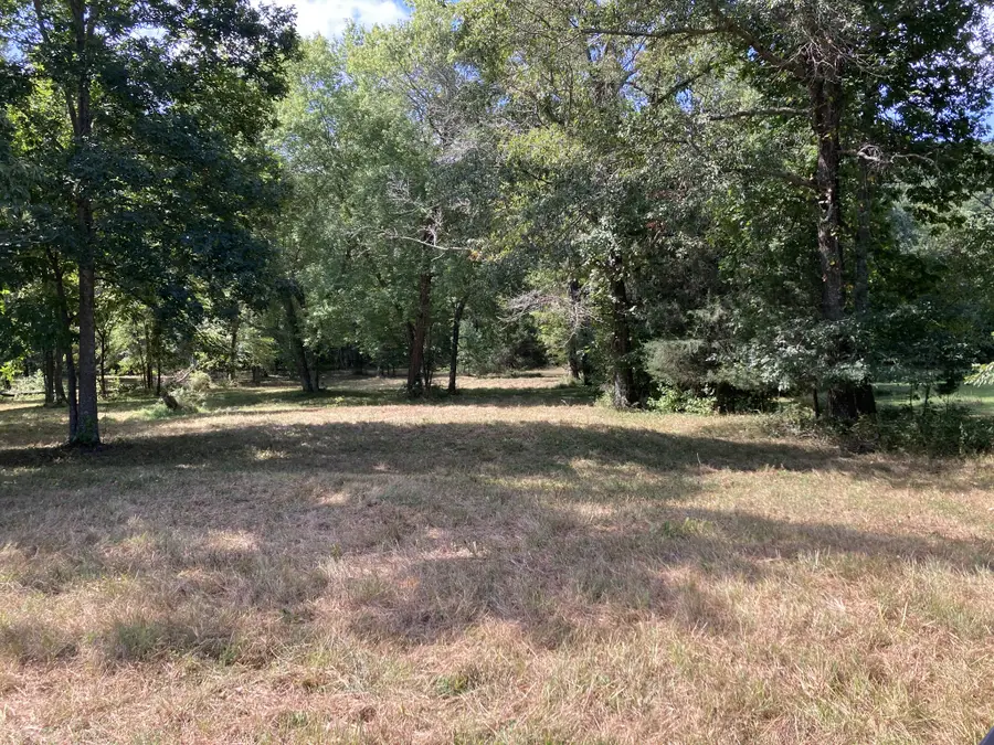 0 N Hurricane Creek Rd N, Mc Ewen, TN 37101 - #2