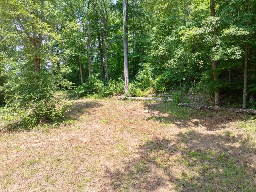 0 Holladay Rd, Parsons, TN 38363 - #2