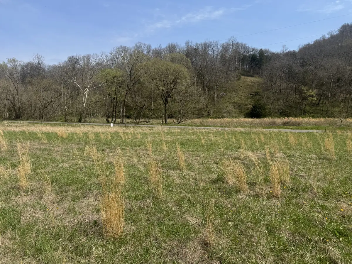 561 Pine Lick Rd, Whitleyville, TN 38588 - #1