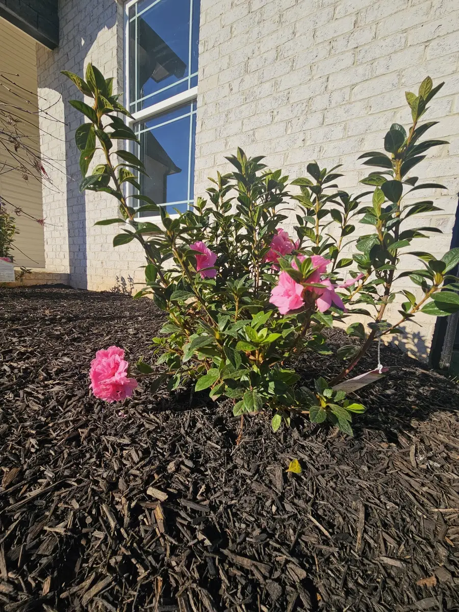 625 Bumblebee Way, Clarksville, TN 37042 - #3