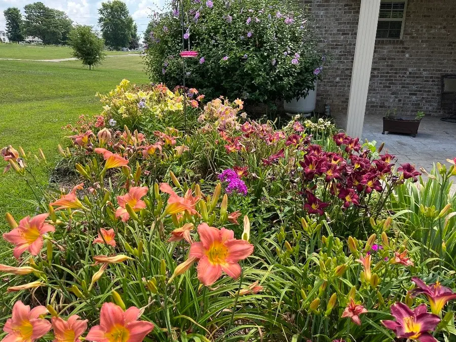 100 Ladybug Ln, Bethpage, TN 37022 - #3