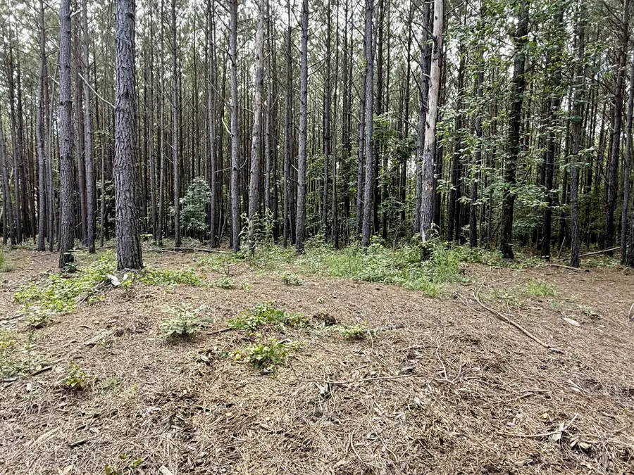 191 Seiber Ridge Rd, Hohenwald, TN 38462 - #3