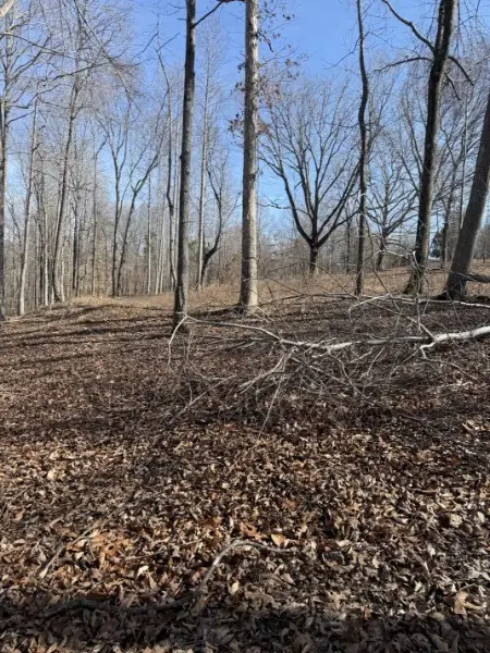 0 Old Hwy 96, Franklin, TN 37064 - #1