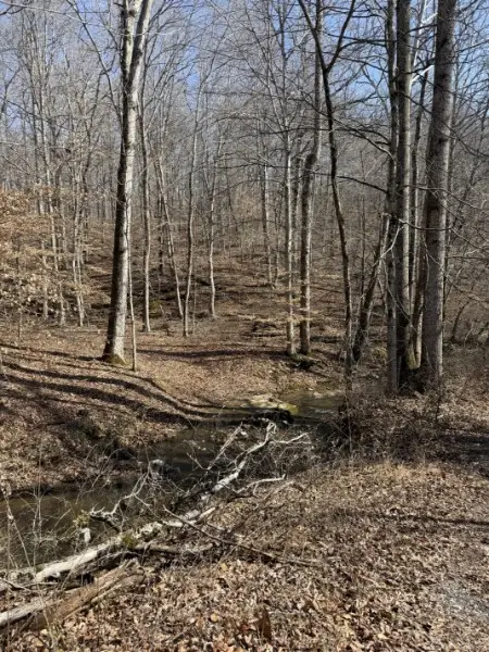 0 Old Hwy 96, Franklin, TN 37064 - #2