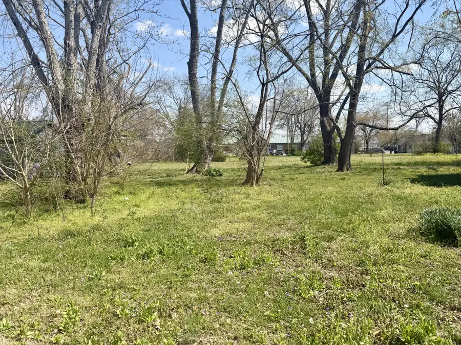 309 S Pine, Hohenwald, TN 38462 - #2