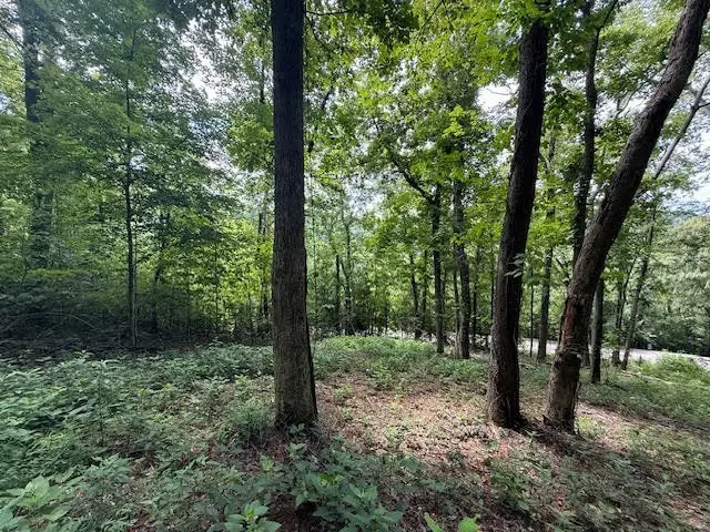 74 Williamson Cir, Smithville, TN 37166 - #3