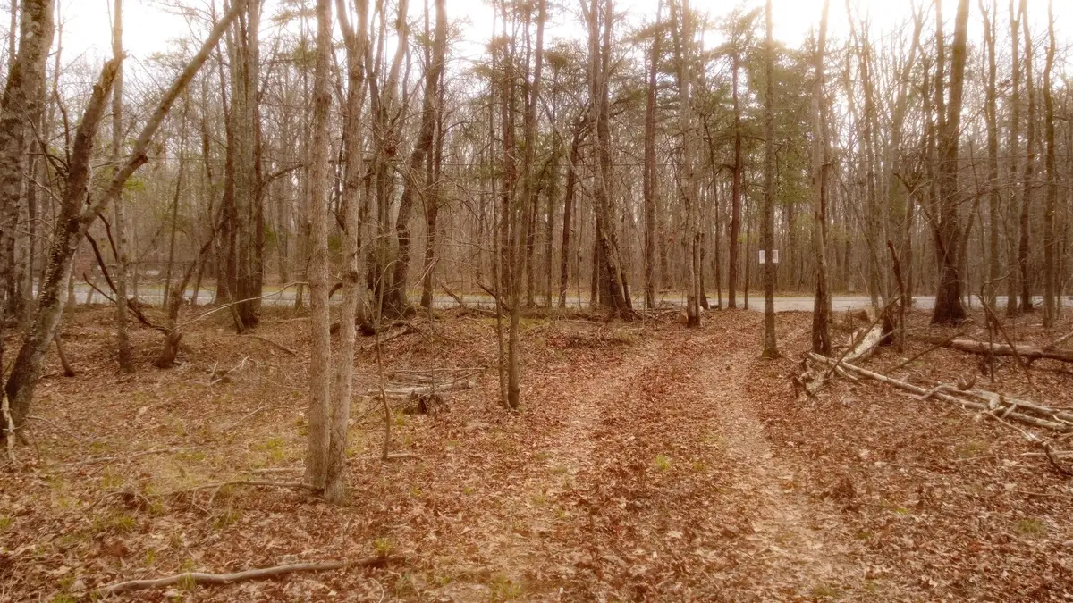 1188 Timberwood Trce, Monteagle, TN 37356 - #1