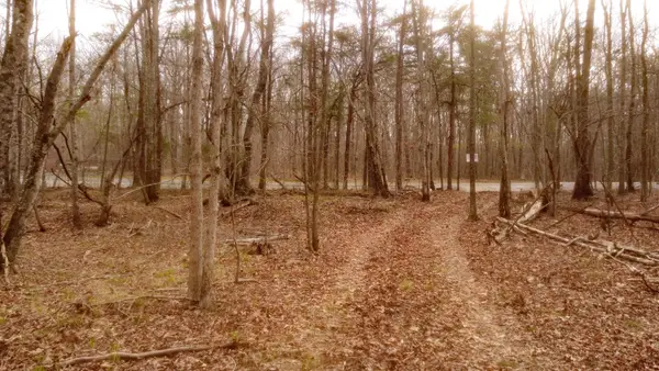 1188 Timberwood Trce, Monteagle, TN 37356