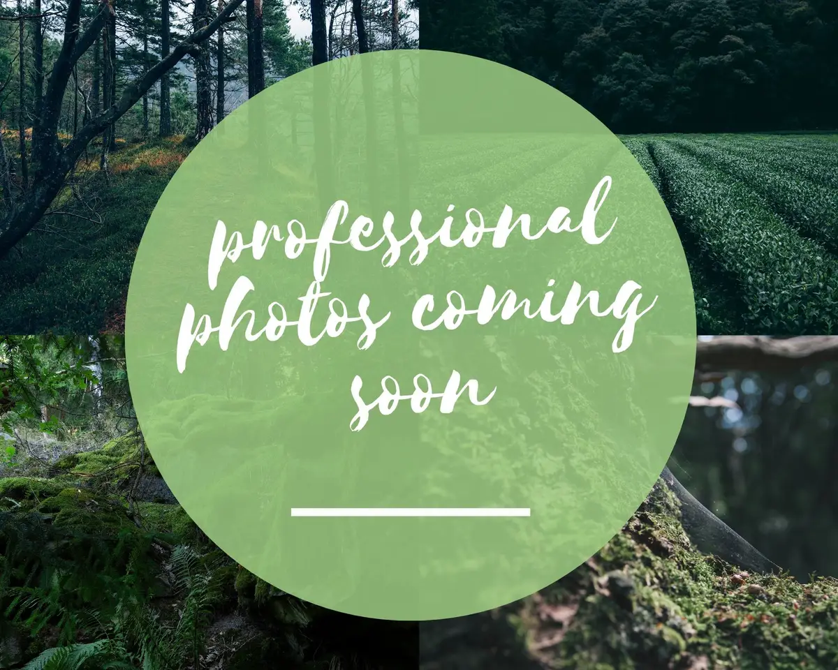 562 Walton Ferry Rd, Hendersonville, TN 37075 - #1