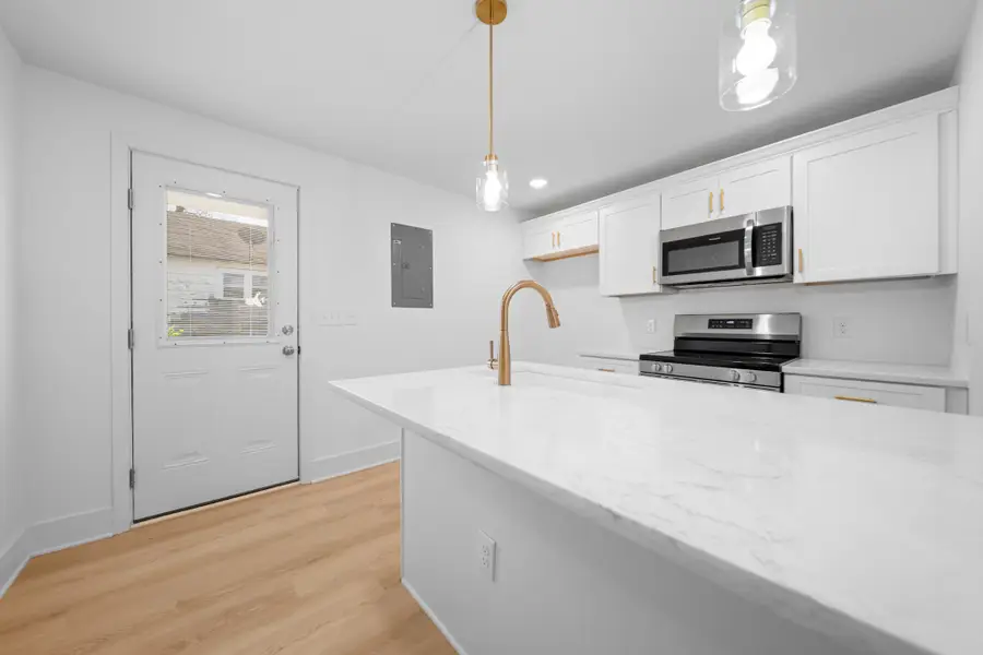 2115 Carter St, Springfield, TN 37172 - #3