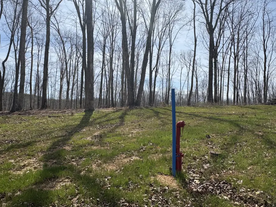 13 Shelton Cemetery Road, Cumberland Furnace, TN 37051 - #2