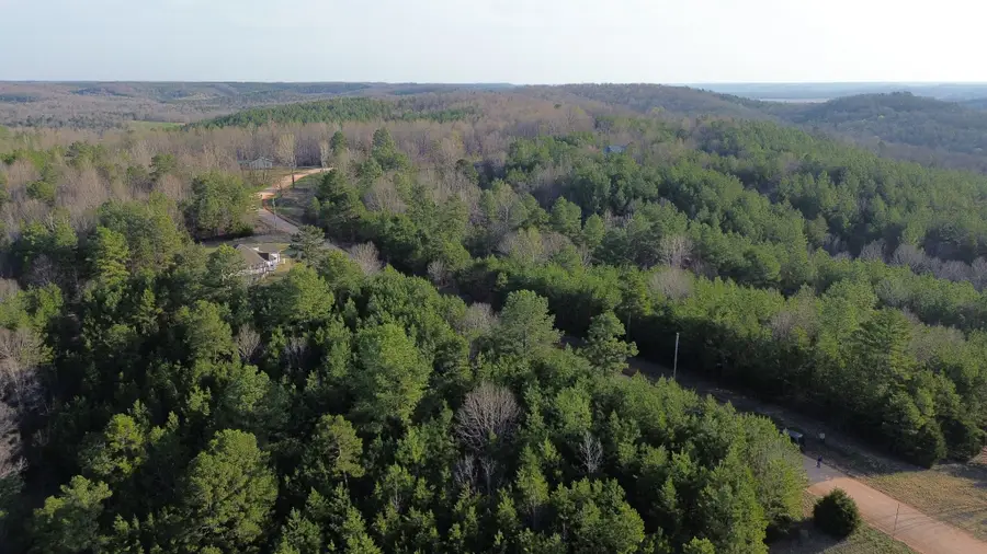 0 Bridge View Cv, Bath Springs, TN 38311 - #2