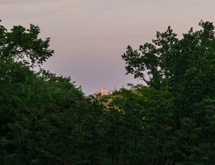 663 Hunters Trl, Nashville, TN 37209 - #3