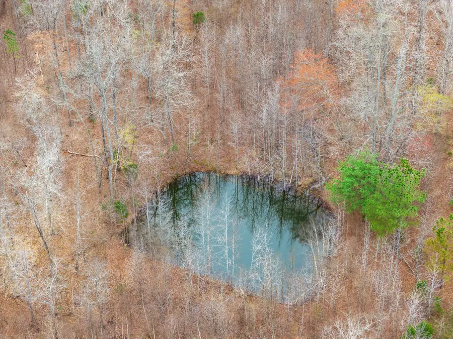 0 Pugh Rd, Holladay, TN 38341 - #3