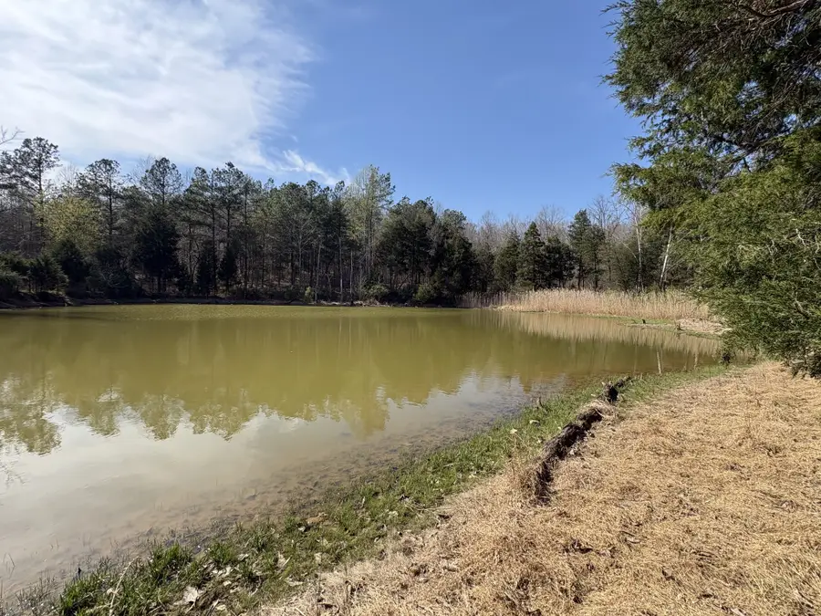 1000 State Route 831, Greenville, KY 42345 - #3