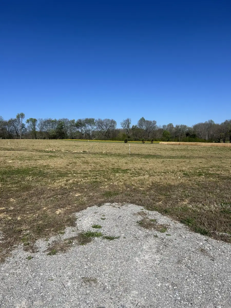 94 Watson Ct, Leoma, TN 38468 - #2