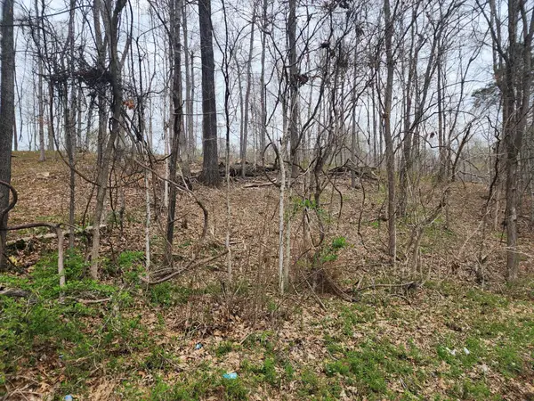 0 Gossett Rd, Ashland City, TN 37015