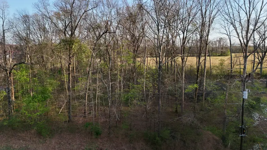 204 Alps Dr, Hohenwald, TN 38462 - #3