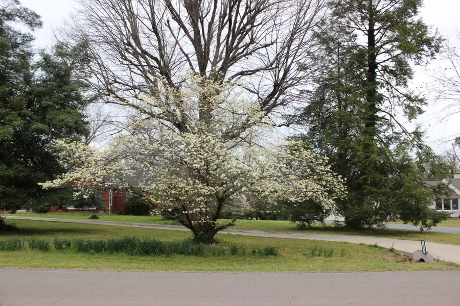 1329 Kenwood Dr, Nashville, TN 37216 - #3