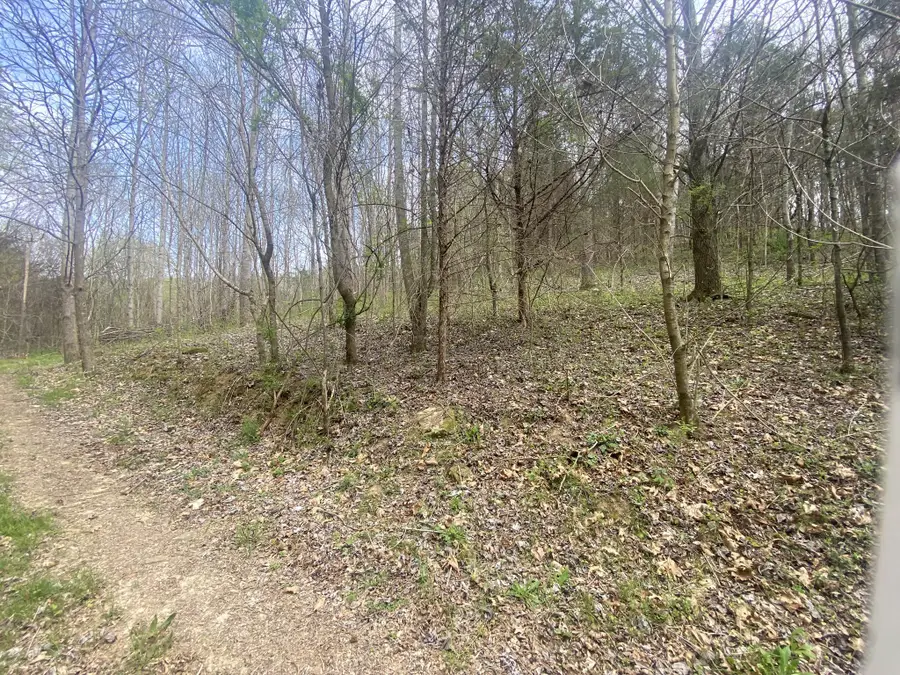 0 Globe Rd, Lewisburg, TN 37091 - #2